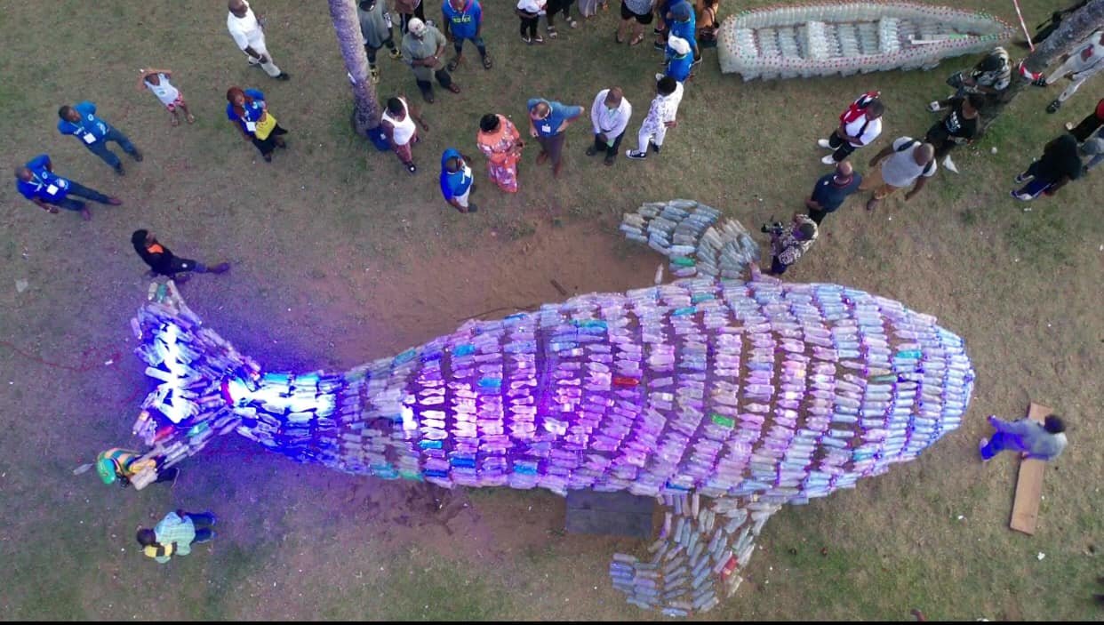 STREET WHALE: Art meets science to celebrate Cameroon’s marine diversity